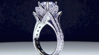 The Large Blooming Beauty Ring Standing Up Video
