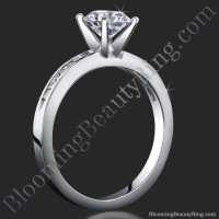 Petite 4 Prong Round Setting Channel Set Princess Cut Diamonds